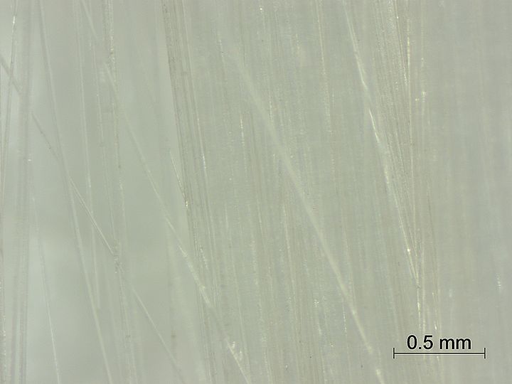 Detailansicht der Glasfasern aus den Fransen nach dem Reinigen.
