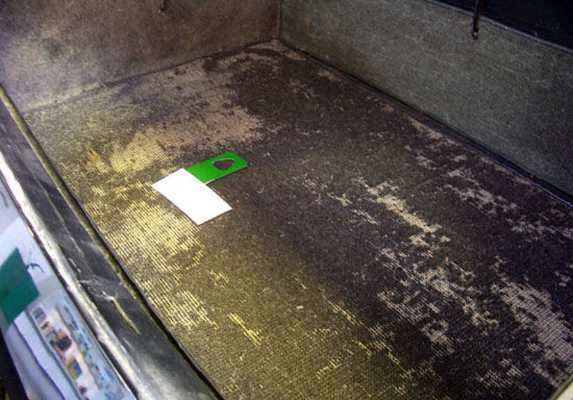 Fraßschäden am Teppich in einem Kofferraum.
