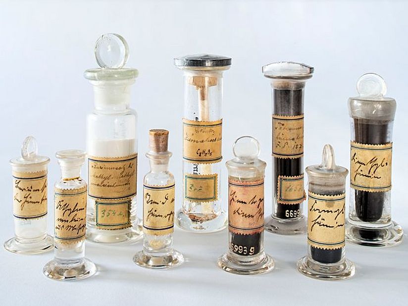 Originalpräparate William Küsters.