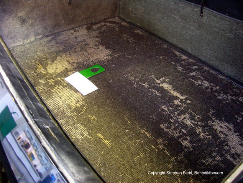 Fraßschäden durch eine Kleidermotte am Teppich in einem Kofferraum.