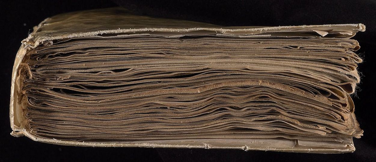 Voynich-Manuskript.