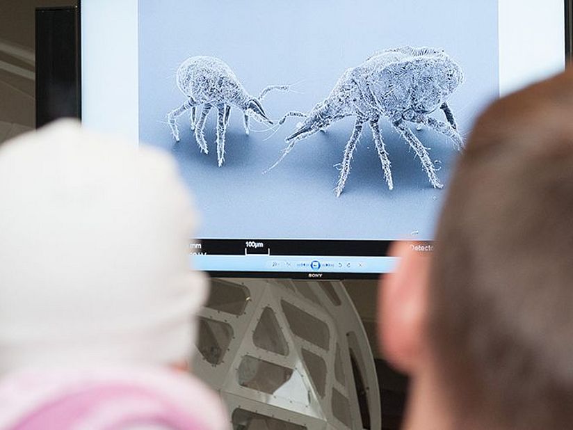 Blog Mikroskopisches Theater CD L 7072 21