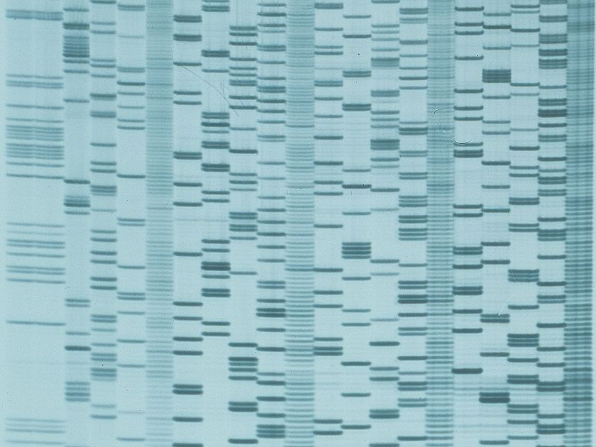 zum Blogbeitrag "Fünf spannende Fakten über unsere DNA".