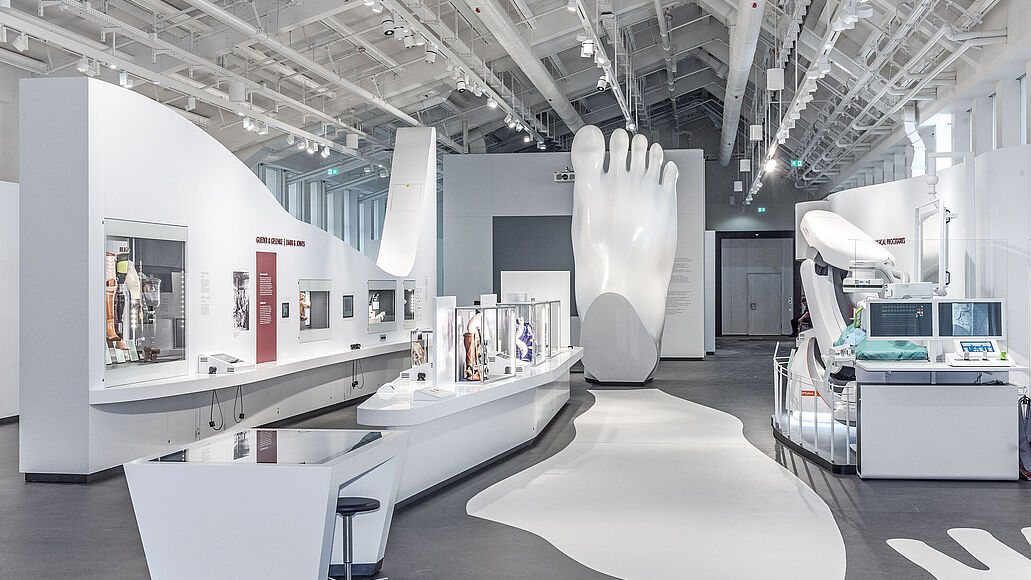 Blick den Ausstellungsbereich "Glieder und Gelenke".