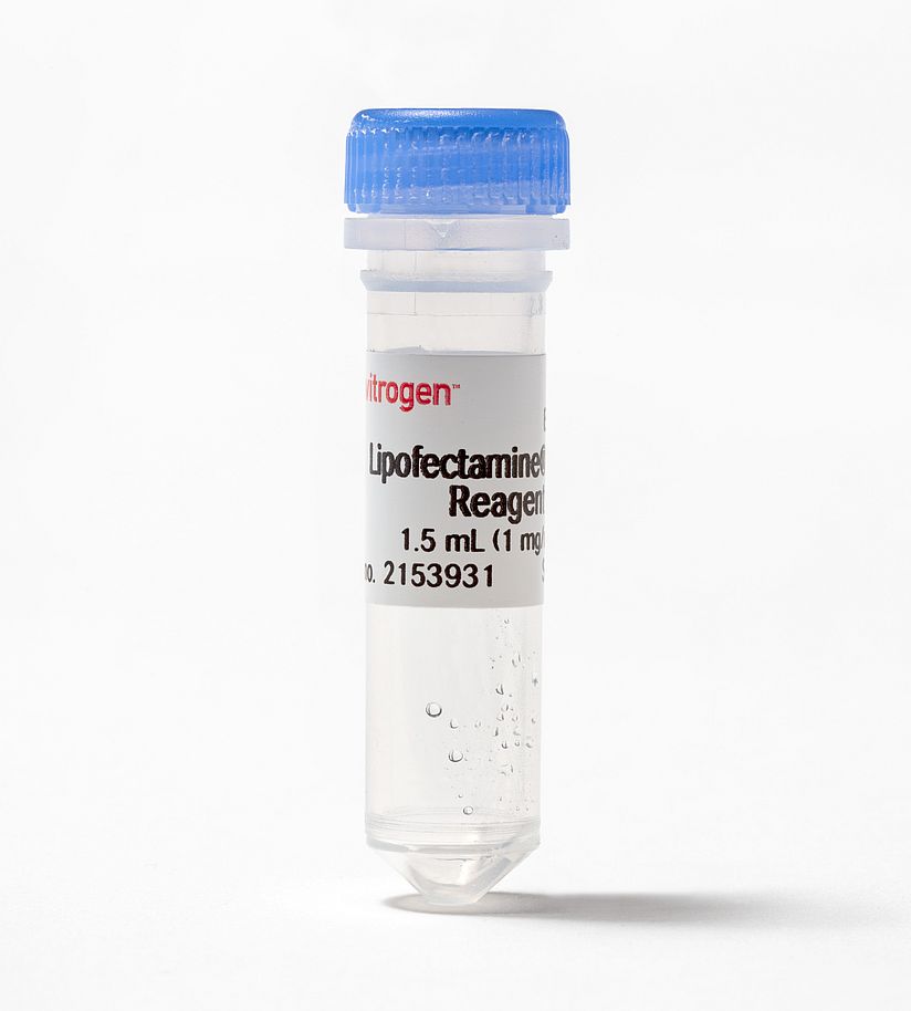 Lipofectamin in einem kleinen Plastik Reagenzglas mit Schraubverschluss.