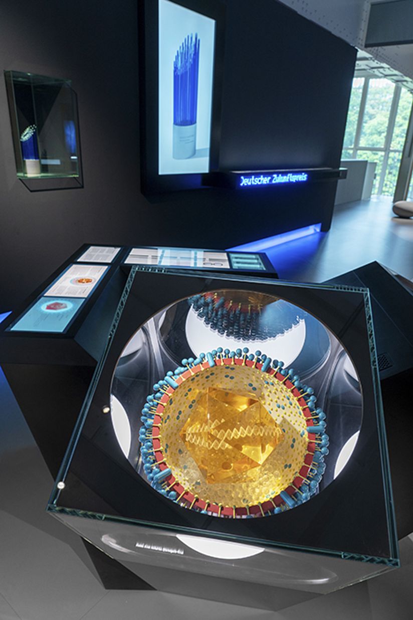 Schnittmodell des Virus im Maßstab 1.500.000:1.