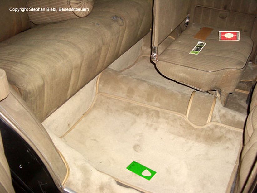 Eine Nützlingskarte mit 3000 Schlupfwespen liegt in einem Oldtimer aus.