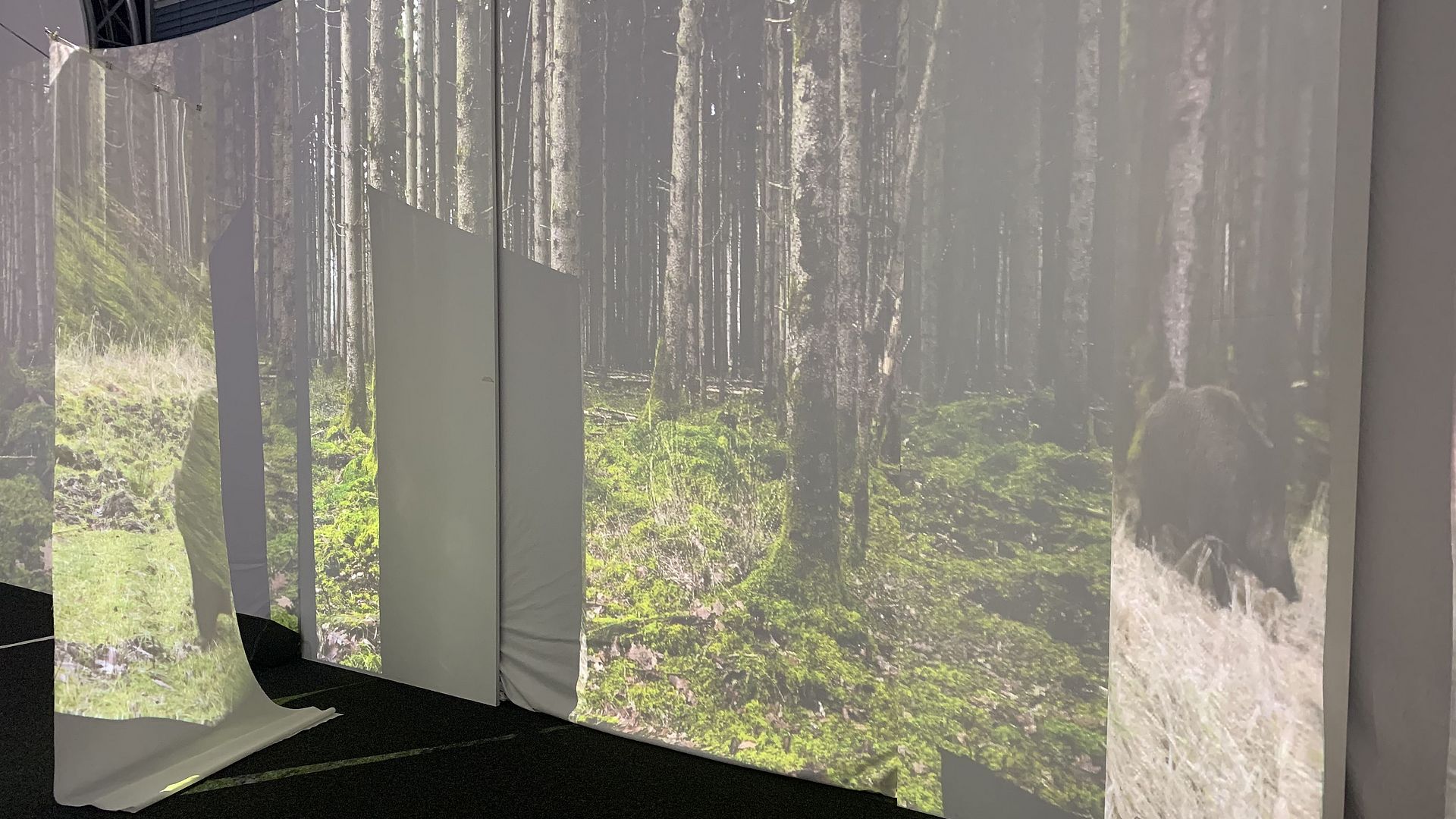 VR-Installation "Approaching Nature" im VRlab. Projektion eines Waldes auf mehreren Leinwänden.
