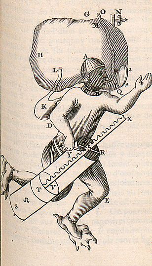 Illustration eines Tauchers mit Taucheranzug.