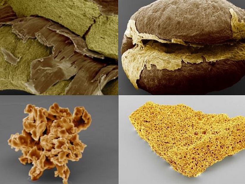 Collage REM-Aufnahmen.