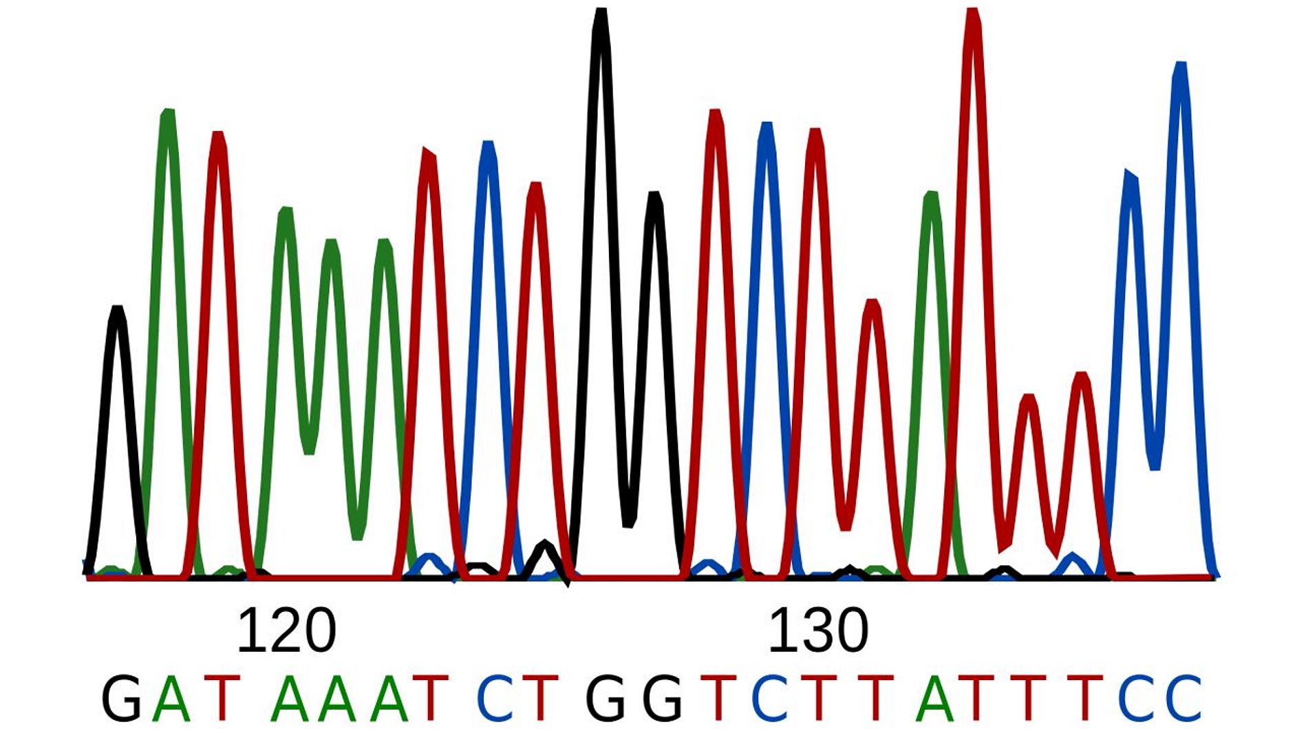 Vier unterschiedliche Sequenzierkurven.
