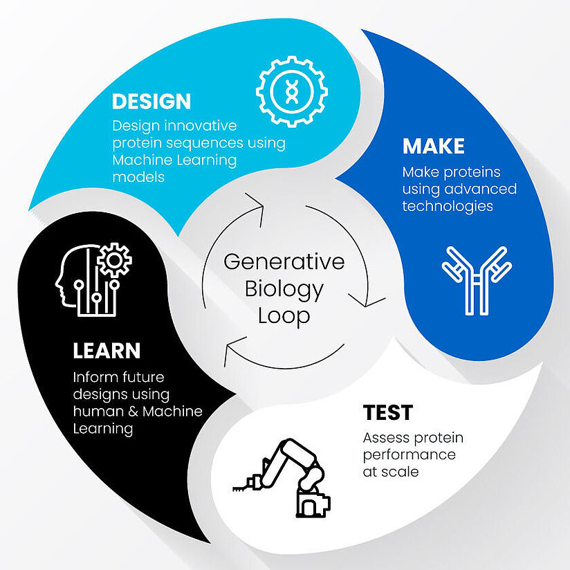 Grafik zeigt den Kreislauf der generativen Biologie: Design, Herstellung, Test und Lernen von Proteinen mit Hilfe von KI und Technologien.