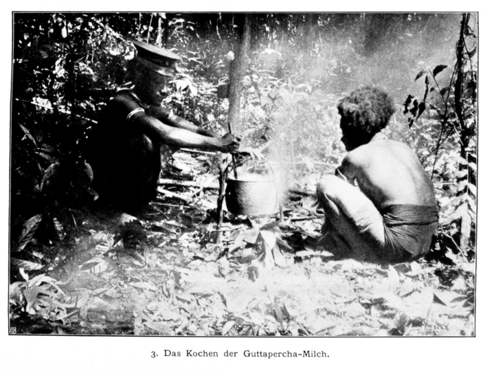 Alte schwarz-weiß Fotografie zeigt zwei Männer die Milch eines Guttaperchabaums kochen.