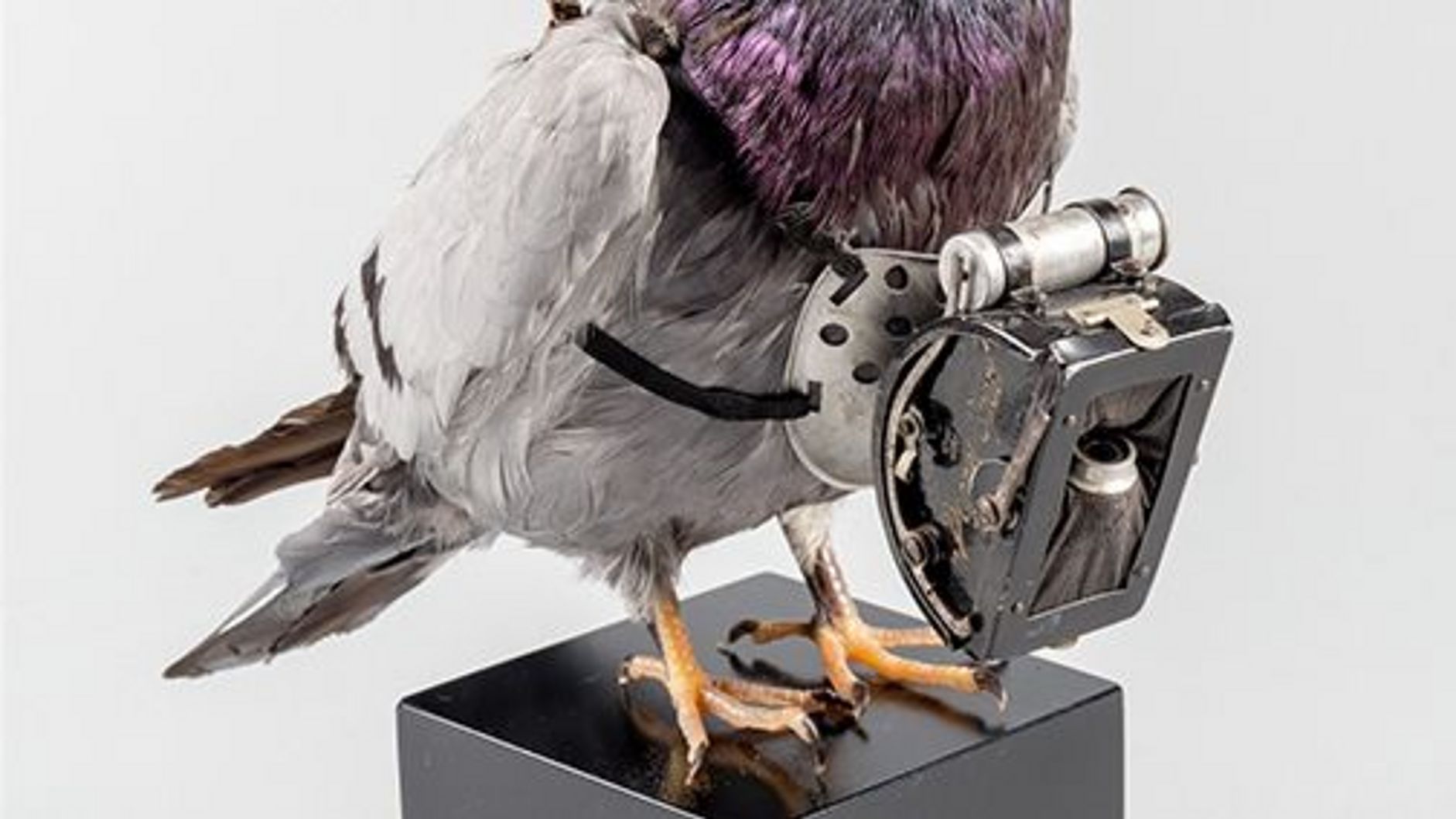 Brieftauben-Panoramakamera "Doppelsport No. 20".