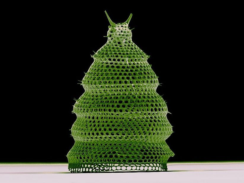 Radiolarie grün eingefärbt.