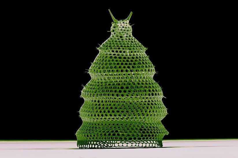 Radiolarie grün eingefärbt.