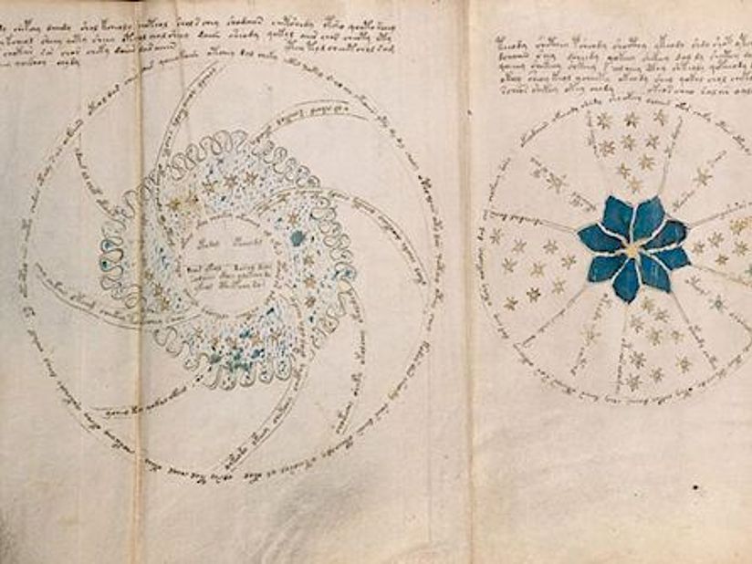 Grafik Beispiel Voynich.
