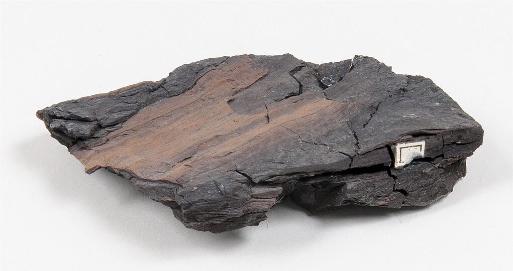 Probe von Braunkohle, dunkelbraun bis schwarz mit schichtiger Struktur und mattem Glanz.