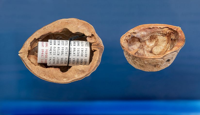 Ein Lochstreifen versteckt in einer Walnuss. Die Walnuss ist geöffnet, man sieht den gerollten Lochstreifen.