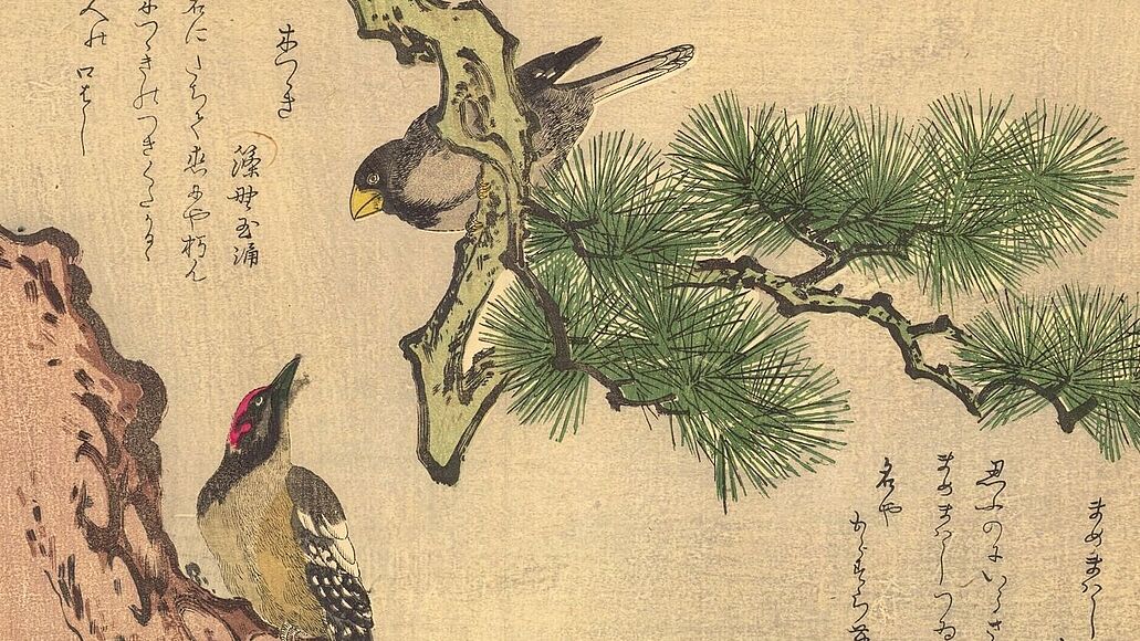 Farbholzschnitt von Kitagawa Utamaro: Motiv aus dem Leporello Momo chidori kyoka-awase (Ein Chor unzähliger Vögel: Ein Kyoka-Wettbewerb), 1791. Deutsches Museum, Inventar-Nr. 2015-967.