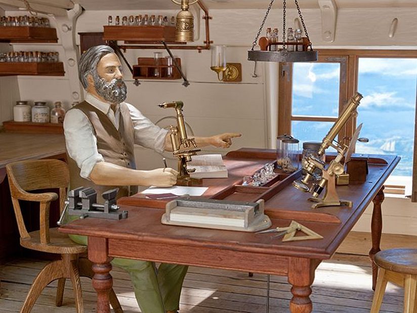 Gezeigt wird das zoologische Labor des Forschungsschiffes „Challenger“.