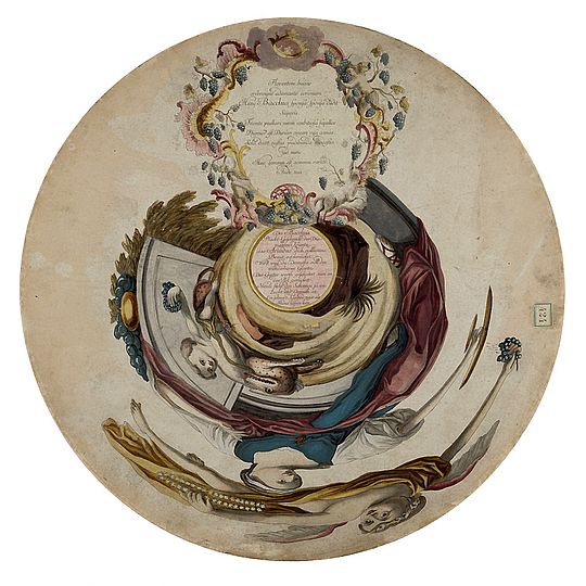 Anamorphose mit Zylinderspiegel (Inv.-Nr. 424)
Durch den Spiegel wird das Gemälde sichtbar.