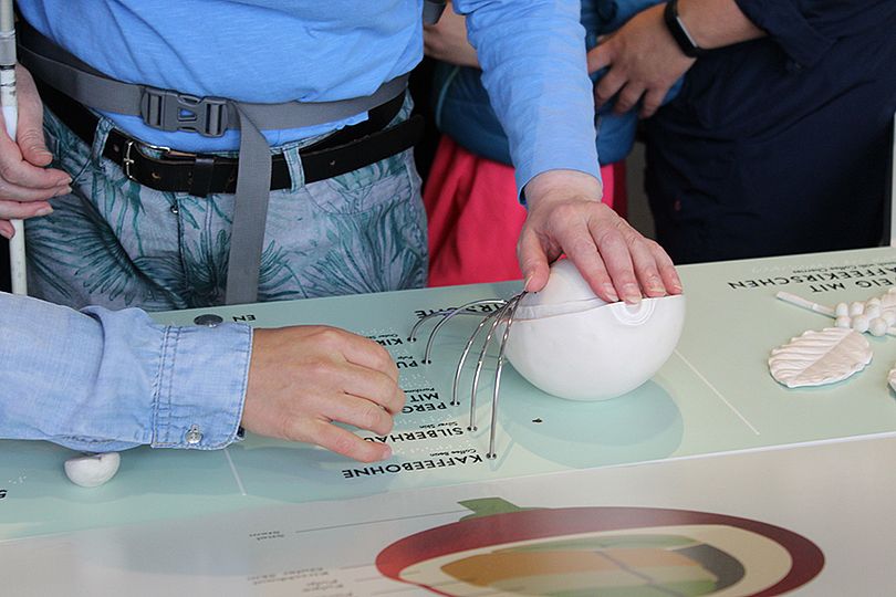 Besucherin ertastet den Aufbau einer Kaffeebohne in der Sonderausstellung "Kosmos Kaffee".