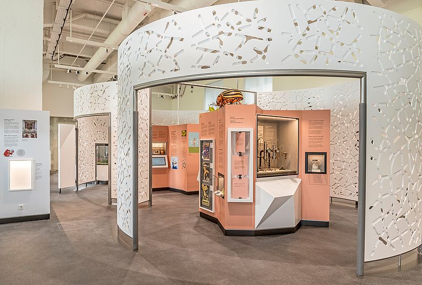 Blick in die Ausstellung Chemie mit der Versuchsapparatur zur Haber-Bosch-Synthese.