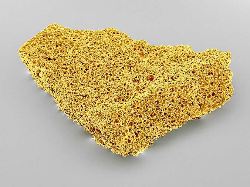 REM-Aufnahme von löslichem Kaffee.