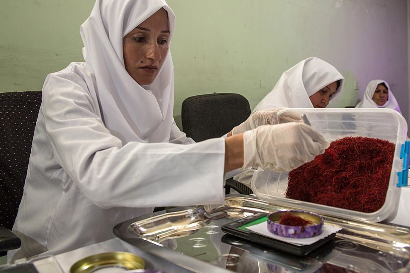 Eine weißgekleidete Frau mit Kopftuch sortiert Safran. 