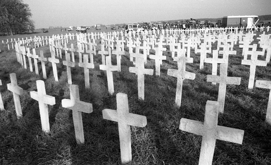 Schwarzweiß Fotografie. Mehrere Reihen von weißen Kreuzen, kreisförmig auf einer Wiese angeordnet.