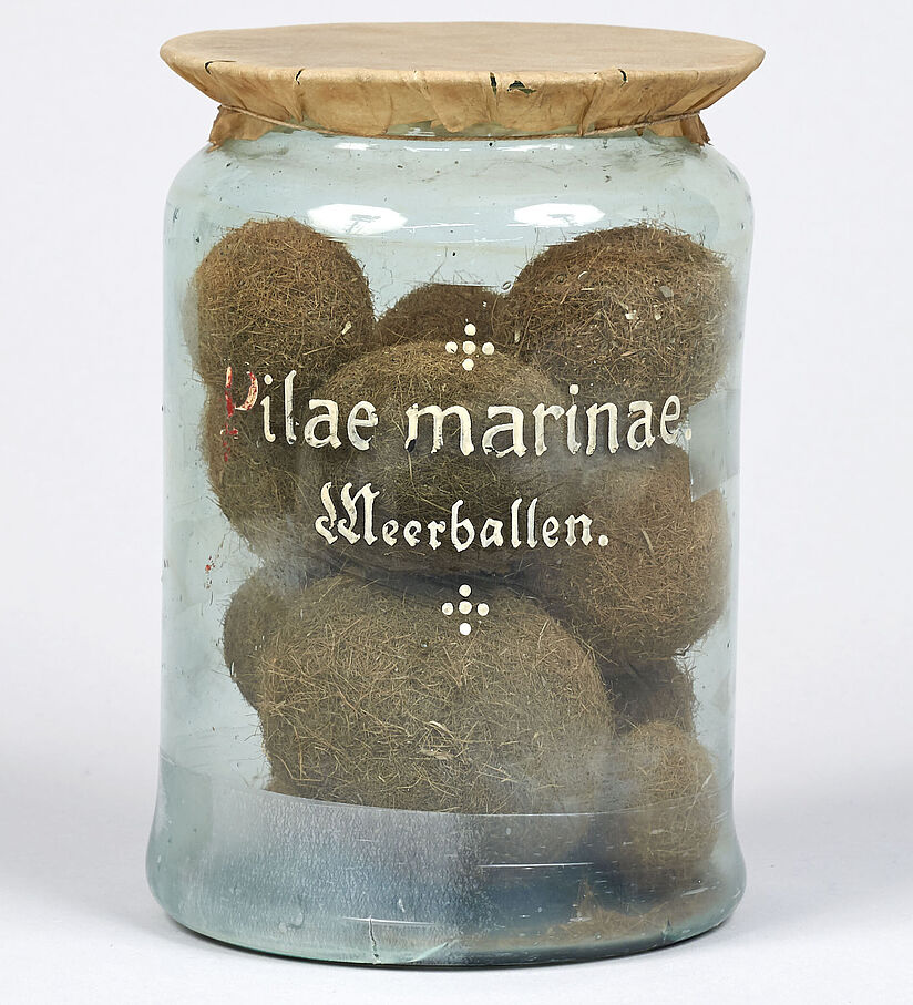 Meerballen in einem Aufbewahrungsgefäß.