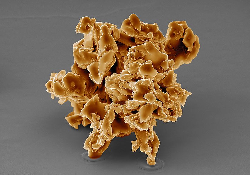 REM-Aufnahme von gemahlenem Kaffee.