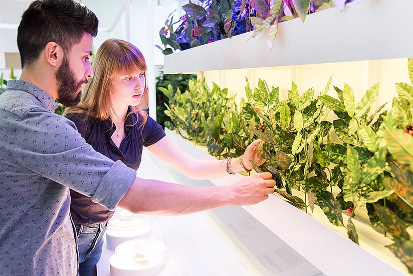 Im Klimaregal sieht man, welche Auswirkungen die Erderwärmung auf Kaffeepflanzen hat.