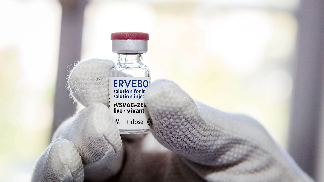 Der neuartige Impfstoff „Ervebo“ in einer Ampulle.