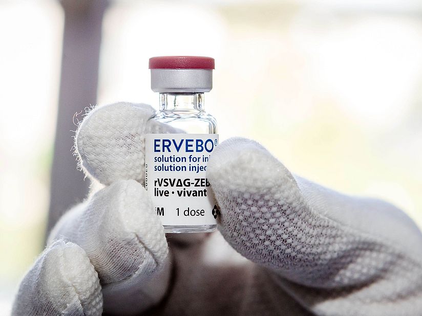 Impfstoff „Ervebo“ in einer Ampulle.