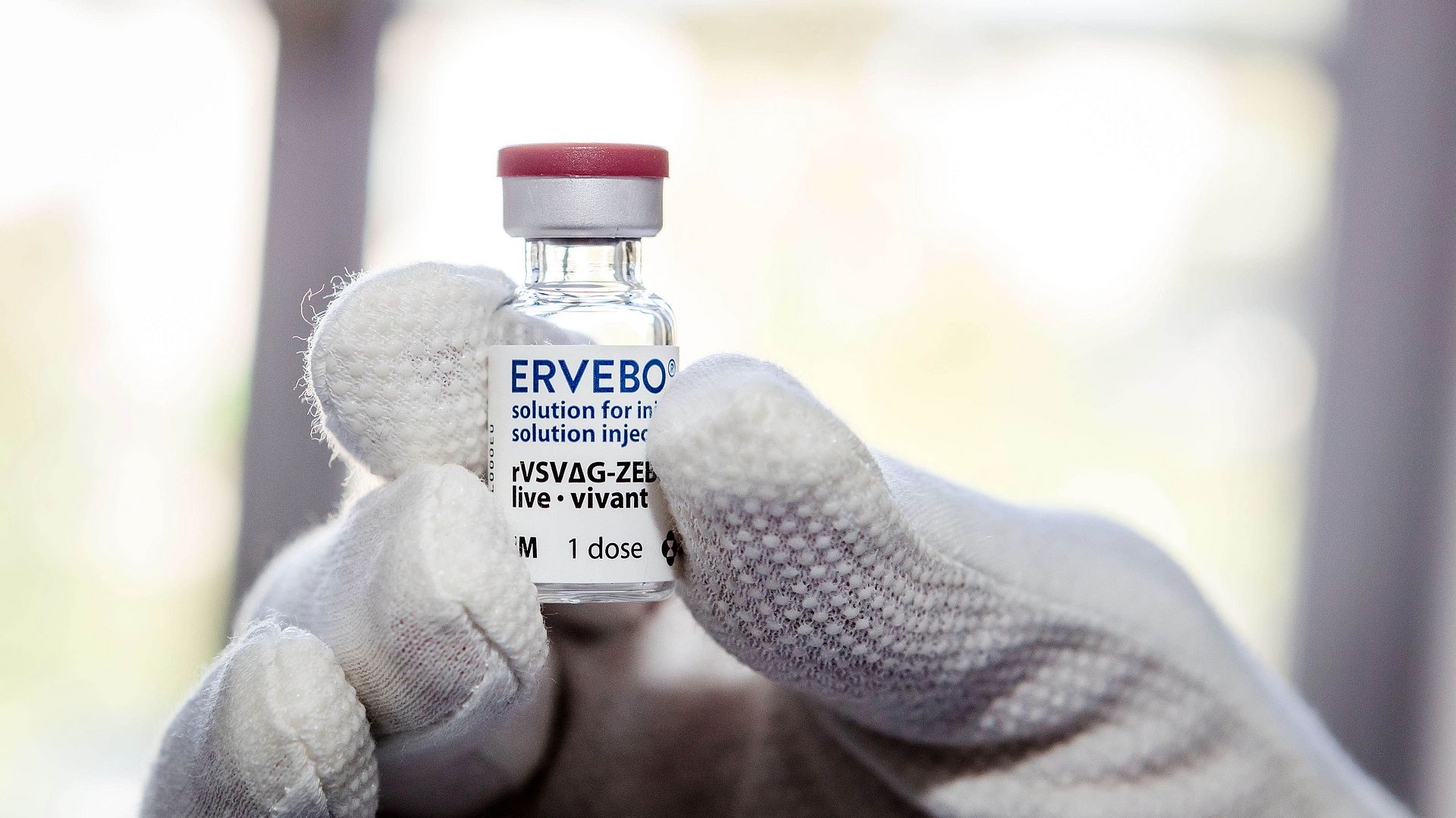Impfstoff „Ervebo“ in einer Ampulle.