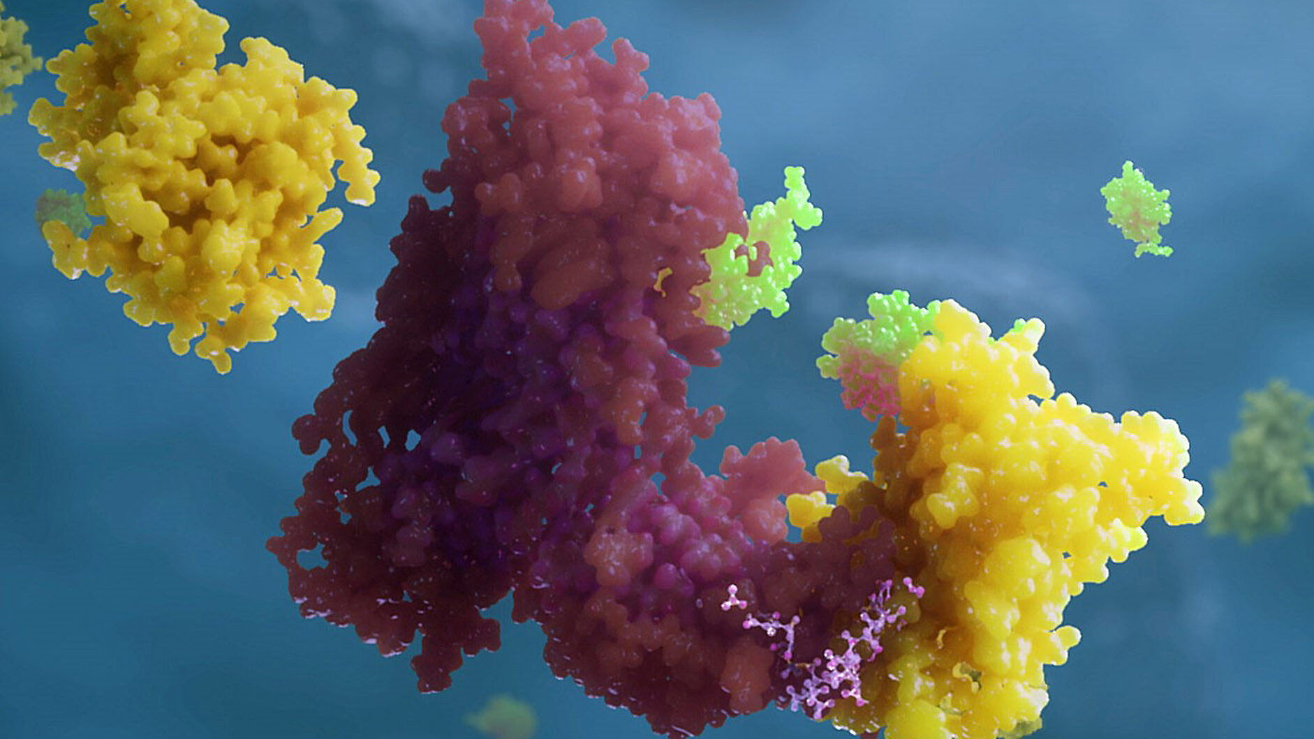 Ein PROTAC®-Molekül.